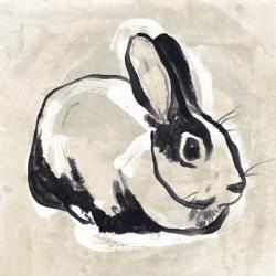 Antique Rabbit I | Obraz na stenu