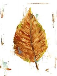 Autumn Leaf Study III | Obraz na stenu