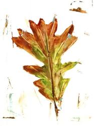 Autumn Leaf Study IV | Obraz na stenu