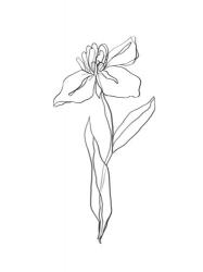 Simple Daffodil II | Obraz na stenu