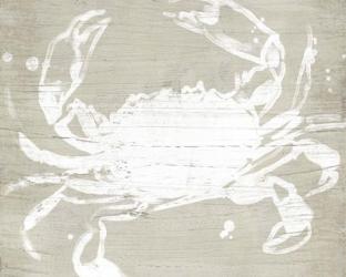 Weathered Crab I | Obraz na stenu
