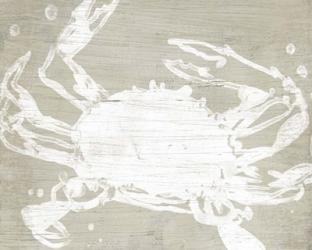 Weathered Crab II | Obraz na stenu
