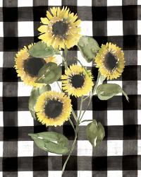 Buffalo Check Sunflower II | Obraz na stenu