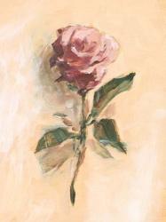 Painterly Rose Study II | Obraz na stenu