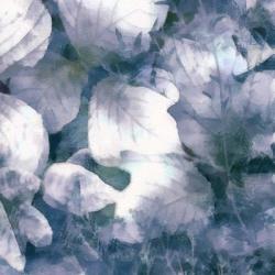 Blue Shaded Leaves IV | Obraz na stenu