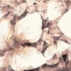 Blush Shaded Leaves II | Obraz na stenu