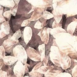 Blush Shaded Leaves III | Obraz na stenu