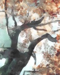 Fall Tree I | Obraz na stenu