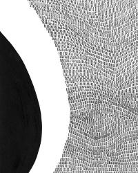 Black & White Abstract II | Obraz na stenu