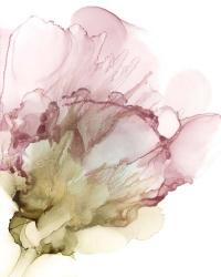 Flowering Pink II | Obraz na stenu