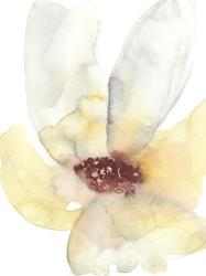 Lush Flower I | Obraz na stenu