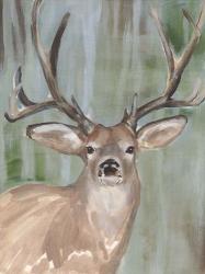 Roaming Buck I | Obraz na stenu