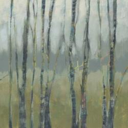Transitional Treeline I | Obraz na stenu