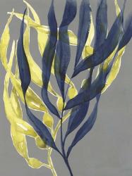 Kelp Embrace II | Obraz na stenu