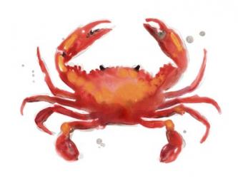 Crab Cameo I | Obraz na stenu