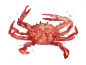 Crab Cameo IV | Obraz na stenu