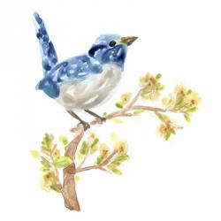 Springtime Songbirds I | Obraz na stenu