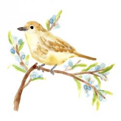Springtime Songbirds II | Obraz na stenu