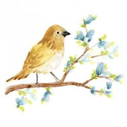 Springtime Songbirds III | Obraz na stenu
