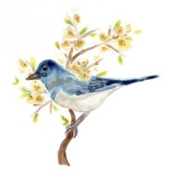 Springtime Songbirds IV | Obraz na stenu