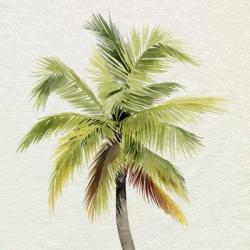 Coco Watercolor Palm I | Obraz na stenu