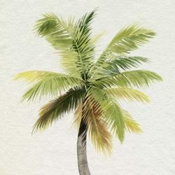 Coco Watercolor Palm II | Obraz na stenu