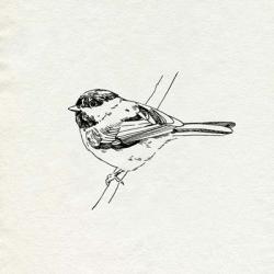 Bird Feeder Friends II | Obraz na stenu