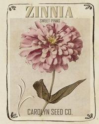 Vintage Seed Packets II | Obraz na stenu