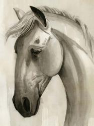 Freckled Pony I | Obraz na stenu