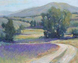Lavender Meadow I | Obraz na stenu