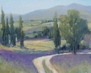 Lavender Meadow II | Obraz na stenu