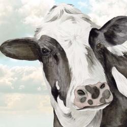 Portrait of a Cow II | Obraz na stenu