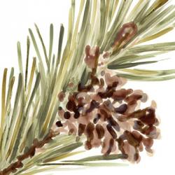 Simple Pine Cone I | Obraz na stenu
