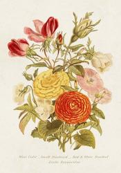 Antique Floral Bouquet I | Obraz na stenu