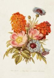 Antique Floral Bouquet II | Obraz na stenu