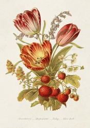 Antique Floral Bouquet IV | Obraz na stenu