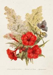 Antique Floral Bouquet V | Obraz na stenu