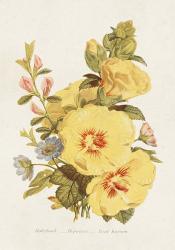 Antique Floral Bouquet VI | Obraz na stenu