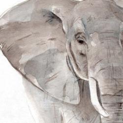 Elephant Grooves II | Obraz na stenu