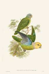 Lime & Cerulean Parrots I | Obraz na stenu