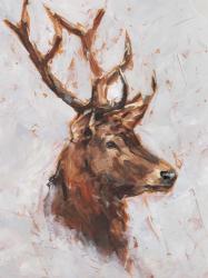 Stag Study II | Obraz na stenu