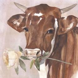 Peony Cow I | Obraz na stenu
