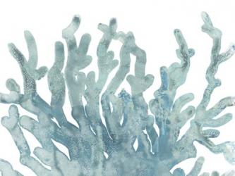 Blue Macro Coral III | Obraz na stenu