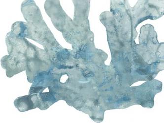 Blue Macro Coral IV | Obraz na stenu