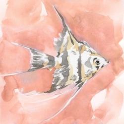 Blush and Ochre Angel Fish I | Obraz na stenu