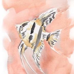 Blush and Ochre Angel Fish II | Obraz na stenu
