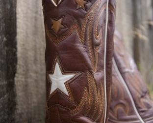 Boots with Star | Obraz na stenu