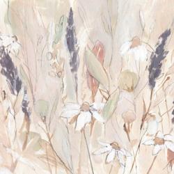 Lavender Flower Field I | Obraz na stenu