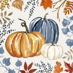 Autumn Pumpkin I | Obraz na stenu