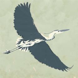 Heron Flying I | Obraz na stenu